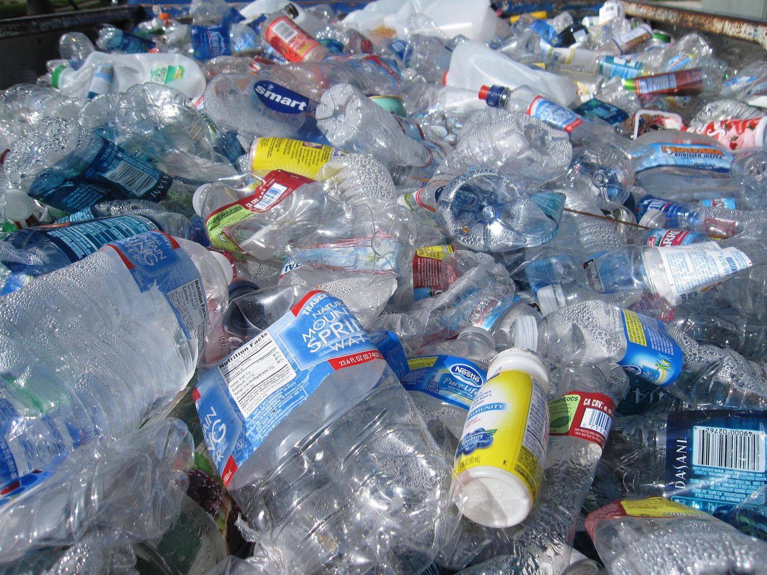 【Kick-Start Your Eco-Friendly Lifestyle - Give Plastic Bottles a Second Lease of Life】